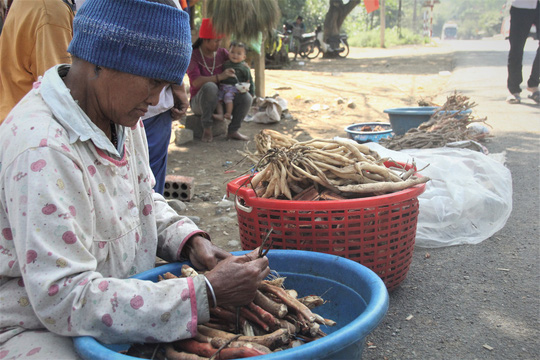 bang rung tim sam nui ban tet