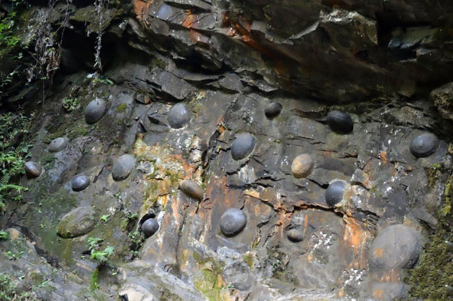 bi an nhung tang da biet sinh con o bo dao nha