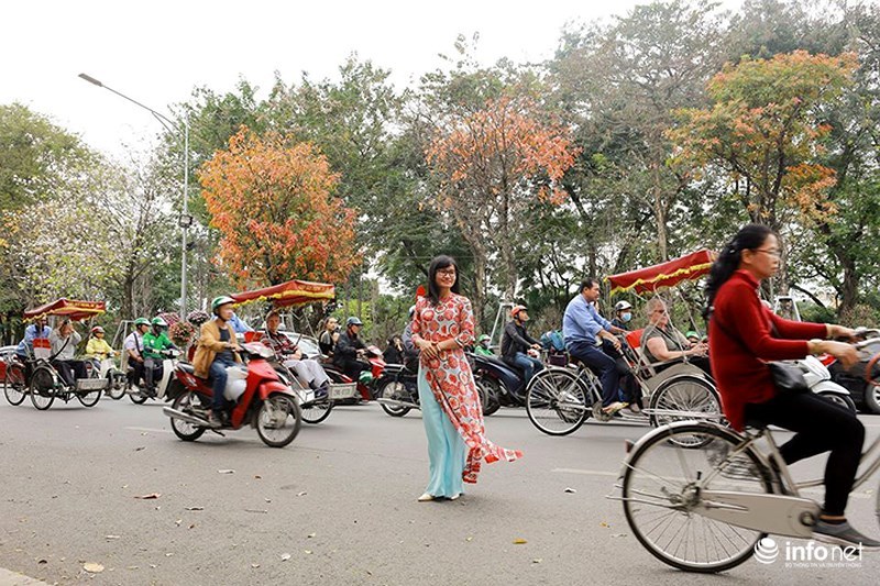 quy co ha thanh xung xinh vay ao hien ngang giua pho chup anh la vang
