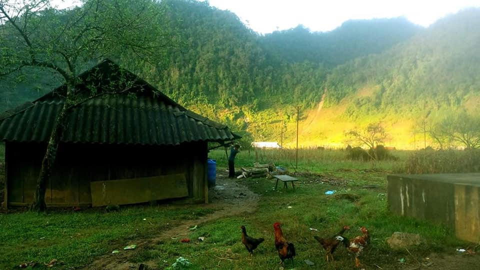 anh hang kia bong benh trong suong som