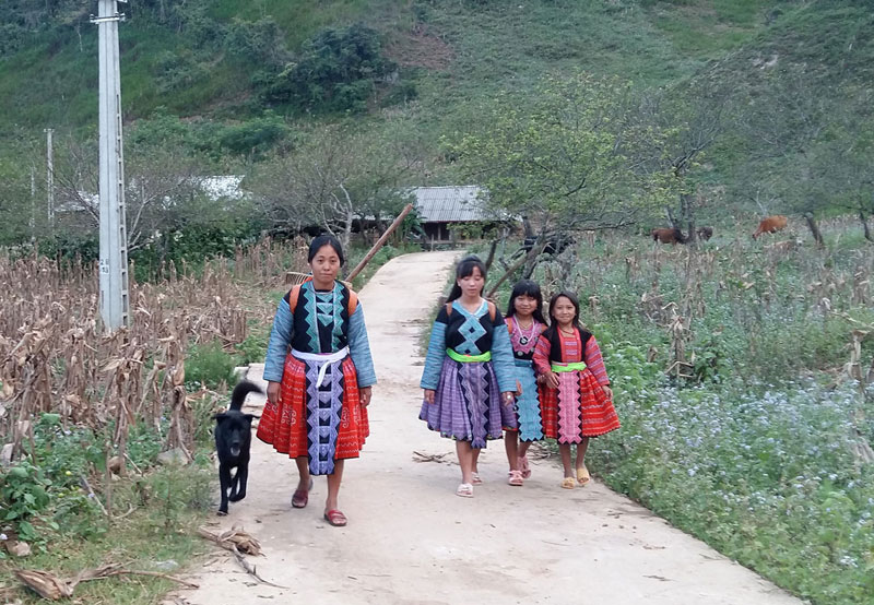 anh hang kia bong benh trong suong som