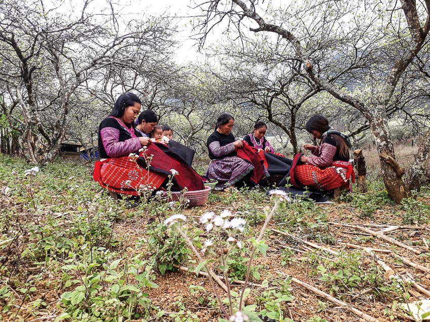 anh hang kia bong benh trong suong som