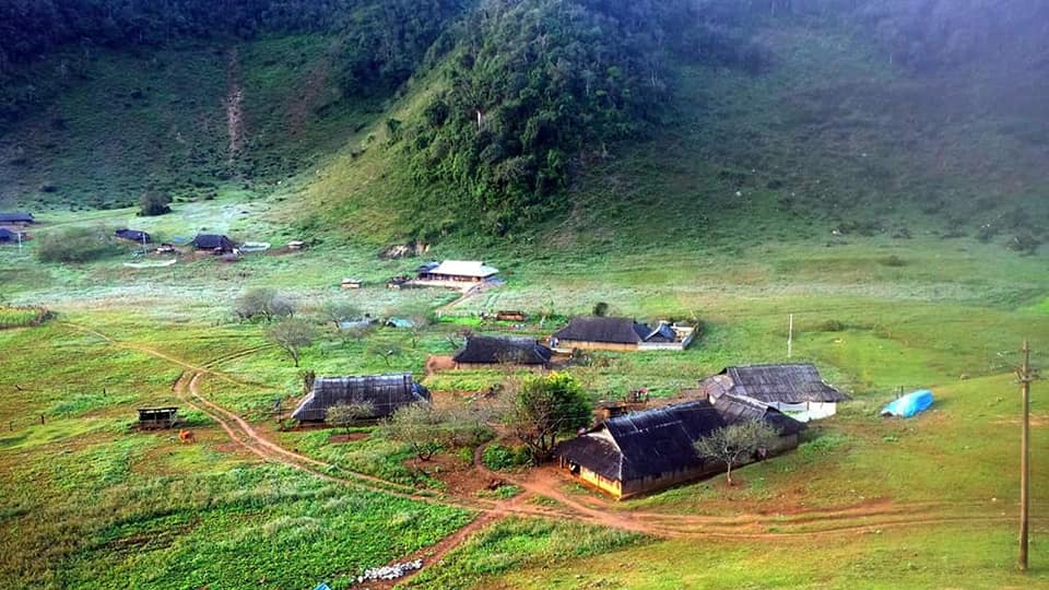 anh hang kia bong benh trong suong som