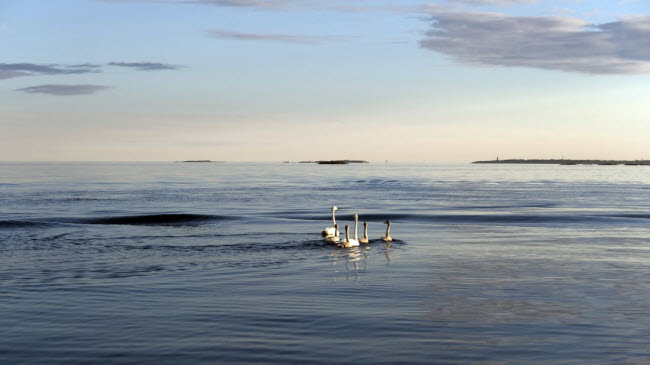 dao thien duong noi khong voi tinh duc cam cac dang may rau