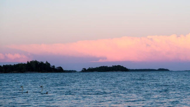 dao thien duong noi khong voi tinh duc cam cac dang may rau