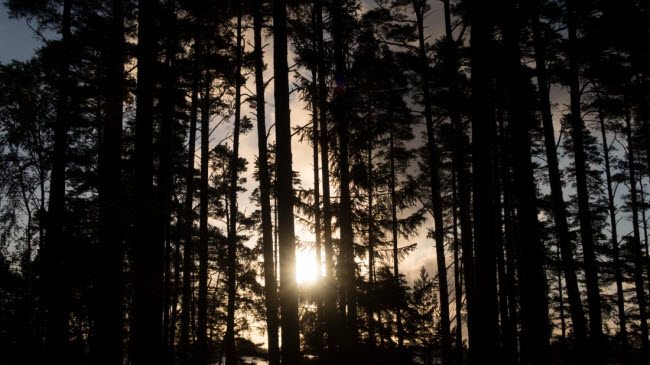 dao thien duong noi khong voi tinh duc cam cac dang may rau