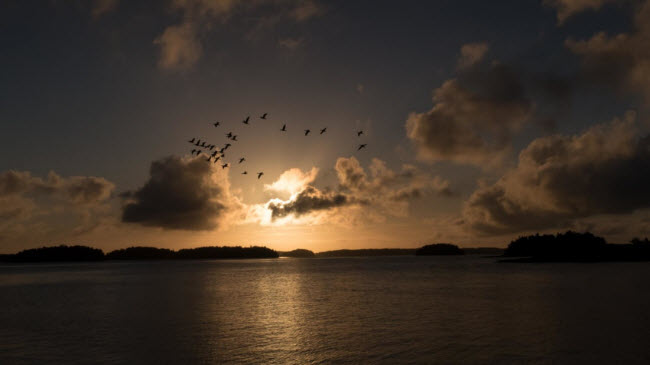 dao thien duong noi khong voi tinh duc cam cac dang may rau