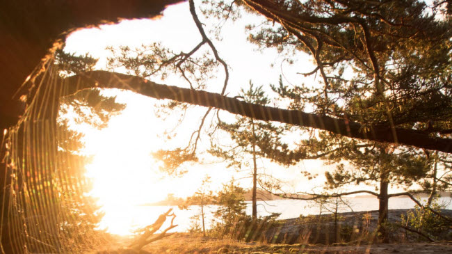 dao thien duong noi khong voi tinh duc cam cac dang may rau