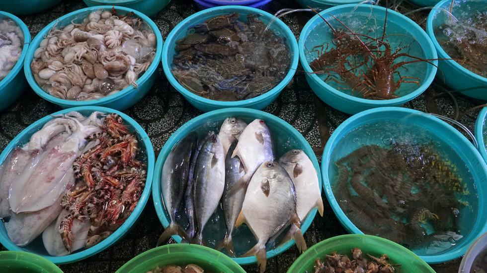 nguoi sai gon lac buoc trong thien duong hai san co khung gia binh dan