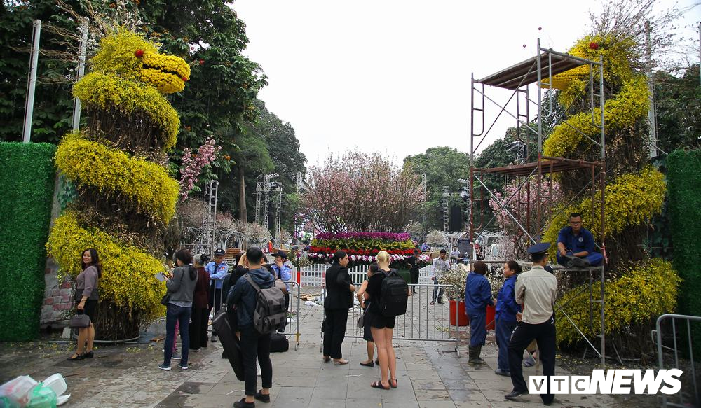 anh 40000 canh hoa anh dao chuyen tu nhat ban toi ha noi