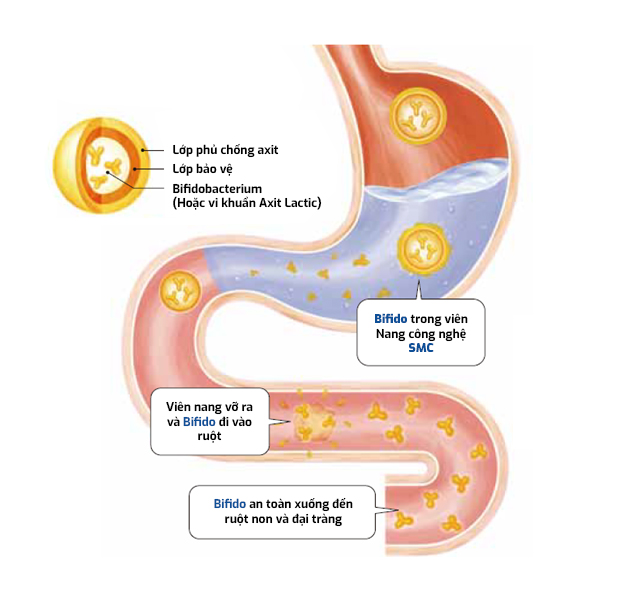 3 nguyen tac vang giup thoat noi kho viem dai trang cua nguoi nhat