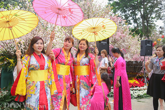 anh nguoi ha noi xung xinh kimono do xo den du le hoi hoa anh dao