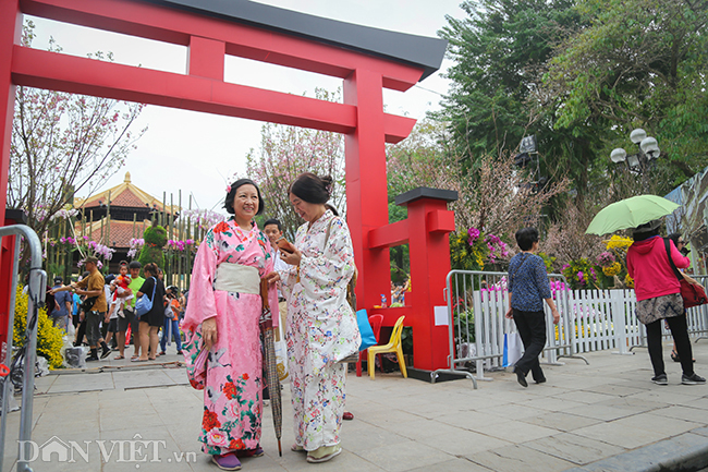 anh nguoi ha noi xung xinh kimono do xo den du le hoi hoa anh dao