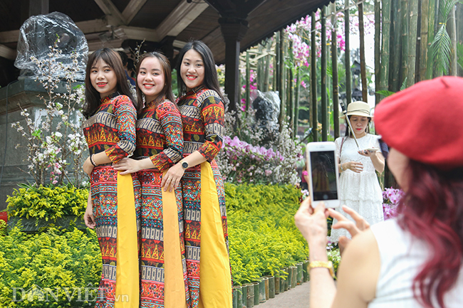 anh nguoi ha noi xung xinh kimono do xo den du le hoi hoa anh dao