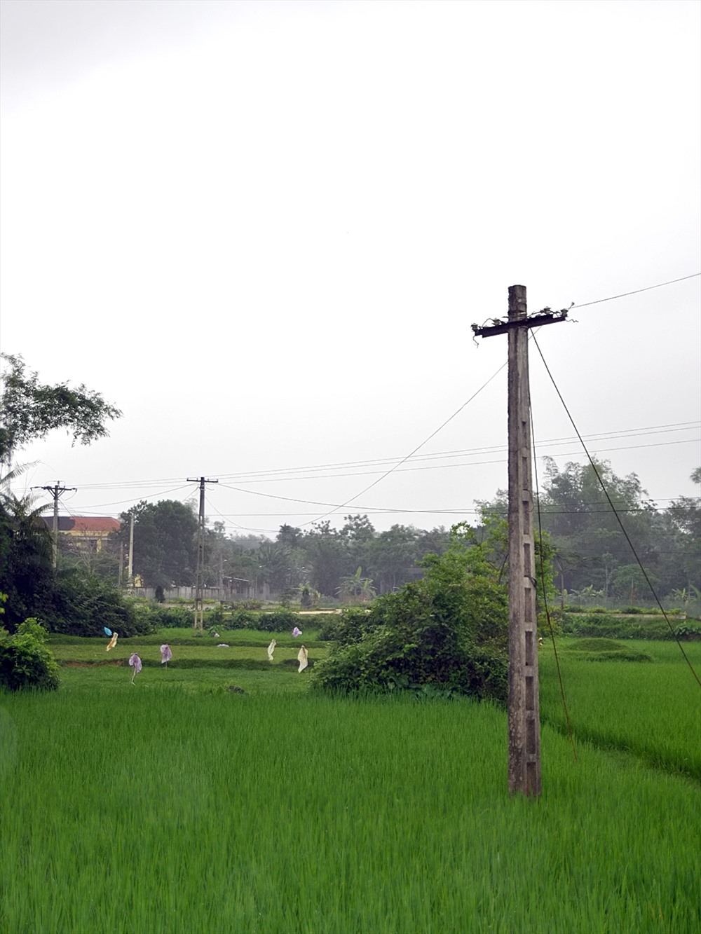 rac cot dien bua vay lang xa