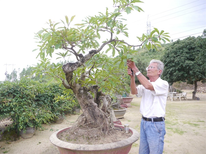 doc co cau bai dat vo binh dinh co 12 doi vo cuoi doi an dat 1 minh