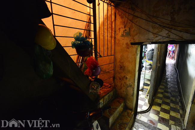 anh nhung con ngo sieu nho o pho co ha noi