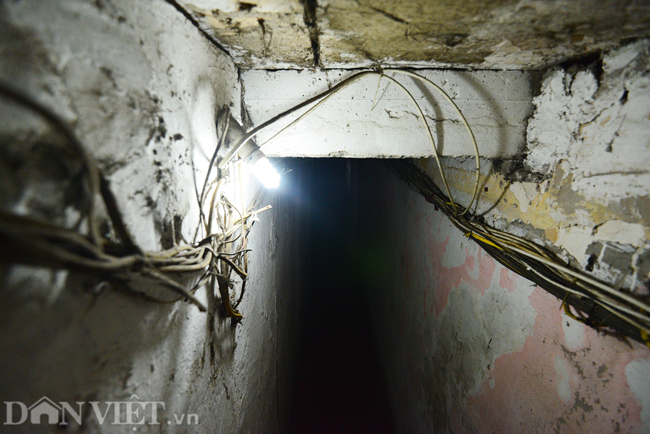 anh nhung con ngo sieu nho o pho co ha noi