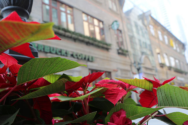 nhung dieu tuyet nhat phai tan huong khi du lich vu han