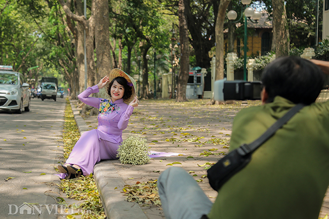 anh mua la sau nhuom vang tren con duong lang man nhat ha noi