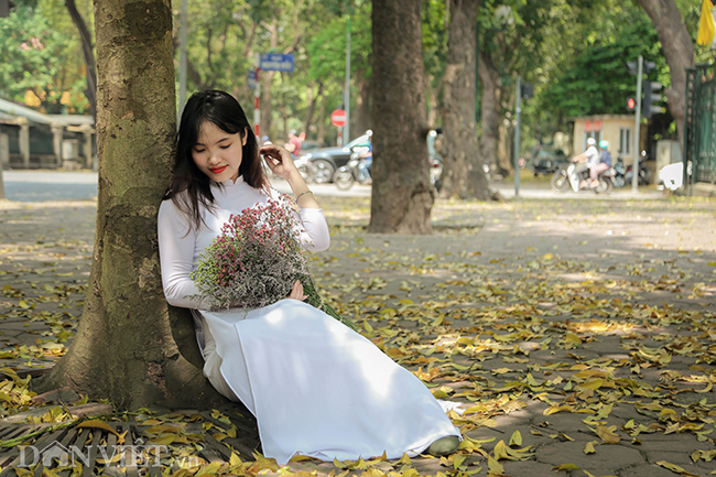 anh mua la sau nhuom vang tren con duong lang man nhat ha noi