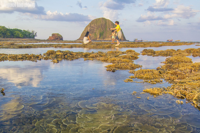 Ngỡ ngàng trước vẻ đẹp của vườn hoa san hô lộ thiên ở Phú Yên ngo ngang truoc ve dep cua vuon hoa san ho lo thien o phu yen