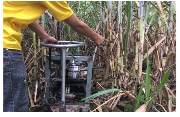 che tao may roc la mia hai nam sinh lop 11 gianh giai dac biet cuoc thi sang tao tinh nghe an