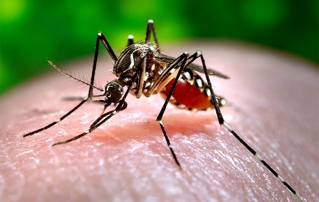 canh bao nhung hiem hoa chet nguoi khong ngo den khi di du lich