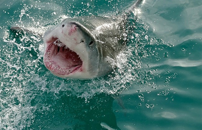 canh bao nhung hiem hoa chet nguoi khong ngo den khi di du lich