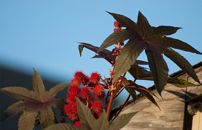 canh bao nhung hiem hoa chet nguoi khong ngo den khi di du lich