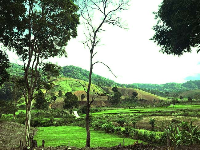 den kon tum tham hiem nui ngoc linh bi an mang den ao mong