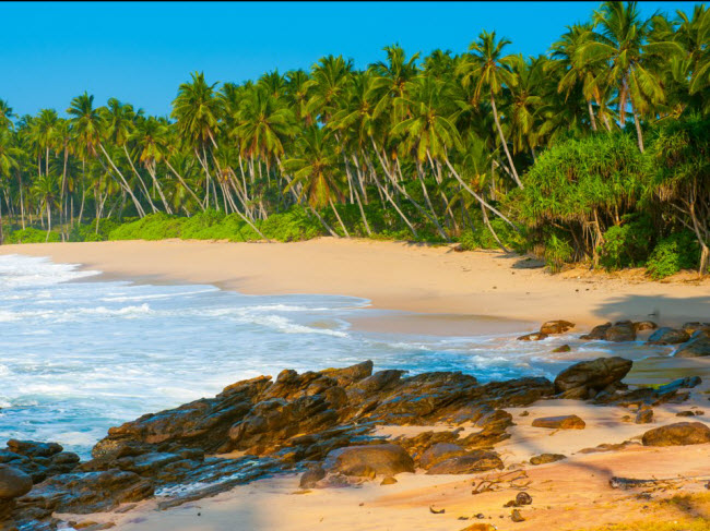 nhung bai bien dep my man an minh ky toi noi dan dia phuong cung chua chac da biet