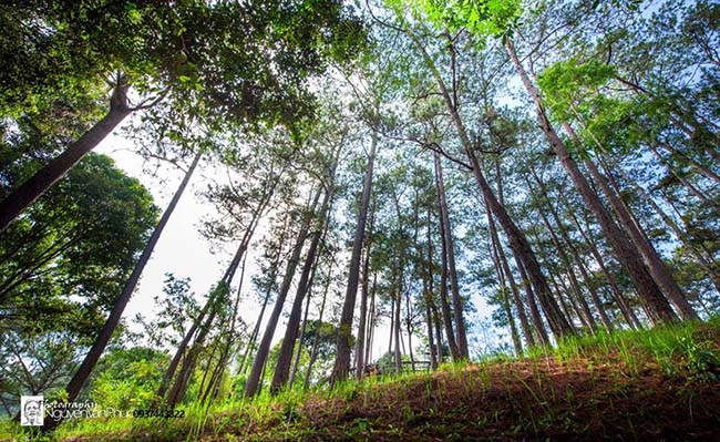 lac loi truoc nhung khong gian song ao day me hoac o tay ninh