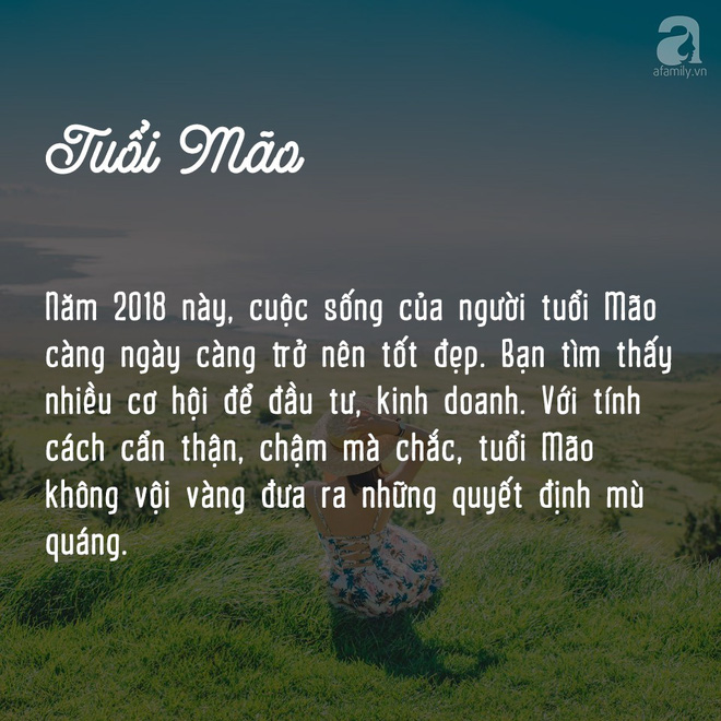 3 con giap moi ngay deu gap binh yen may man trong suot nam 2018