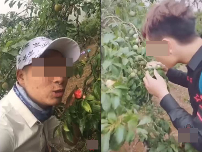 mua ve 20000 vao vuon tham quan nhom thanh nien can man nham nho gay phan no