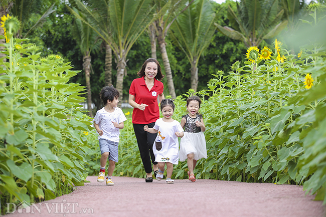ẢNH: Đồng hoa hướng dương tuyệt đẹp ở ngoại thành Hà Nội anh dong hoa huong duong tuyet dep o ngoai thanh ha noi