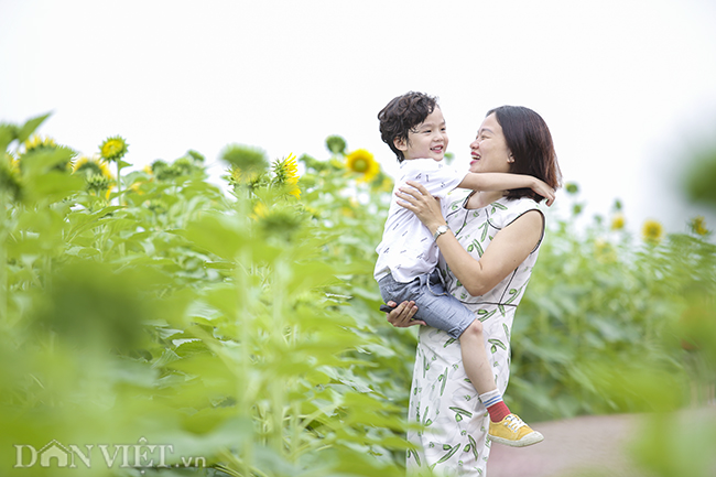 ẢNH: Đồng hoa hướng dương tuyệt đẹp ở ngoại thành Hà Nội anh dong hoa huong duong tuyet dep o ngoai thanh ha noi