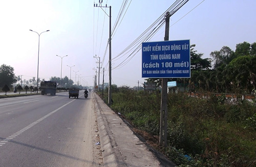 xe tai cho lon mac dich ta chau phi ban dao 2 ngay o quang nam