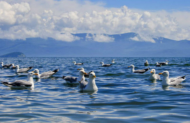 kham pha ho baikal hon ngoc vung siberia