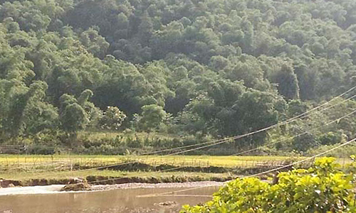 vo chong tre bi dien giat tu vong khi di lam dong