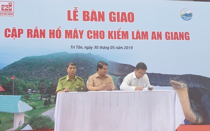 gan chip cho cap ran ho may quotkhungquot de tha ve rung