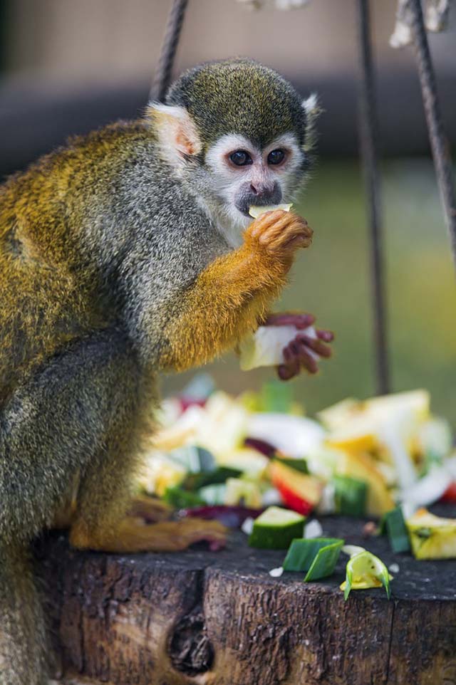 15 le hoi ky di nhat hanh tinh nhung lai khien cho du khach do xo toi tham gia