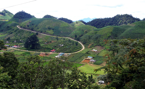 hai trum ma tuy 5 nam song nghenh ngang voi sung dan