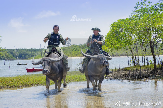 chuyen la thu vi quan canh brazil cuoi trau de tuan tra