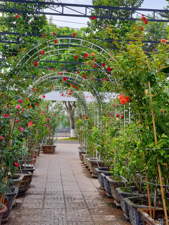 tu 30 nam o nha thue toi chu nhan vuon hoa hong tren 2 ti dong