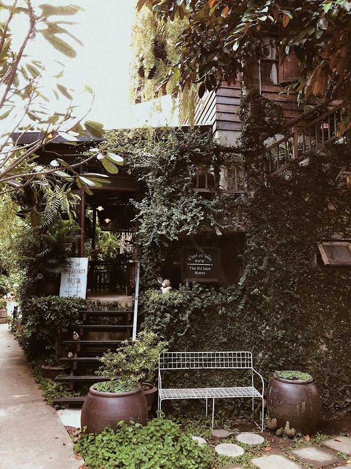 chiang mai dep quen loi ve qua goc check in cua co gai viet