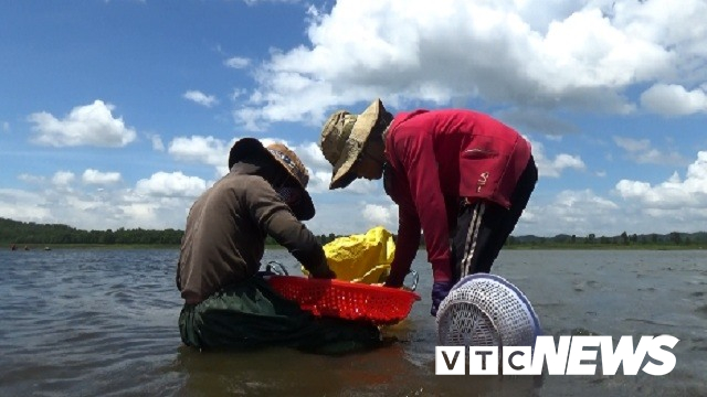 anh nhoc nhan muu sinh nghe cao hen tren ho ea kao dak lak