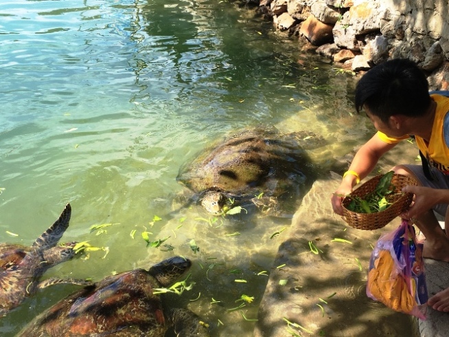 den nha trang dung quen ghe dao hon soi