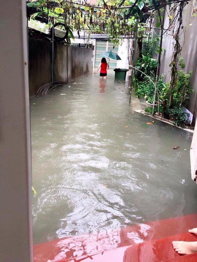 mua lon ngay cuoi tuan xe buyt boi giua pho ha noi