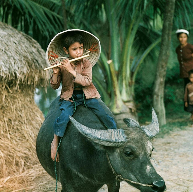 vi vu ha noi sai gon bang fanpage